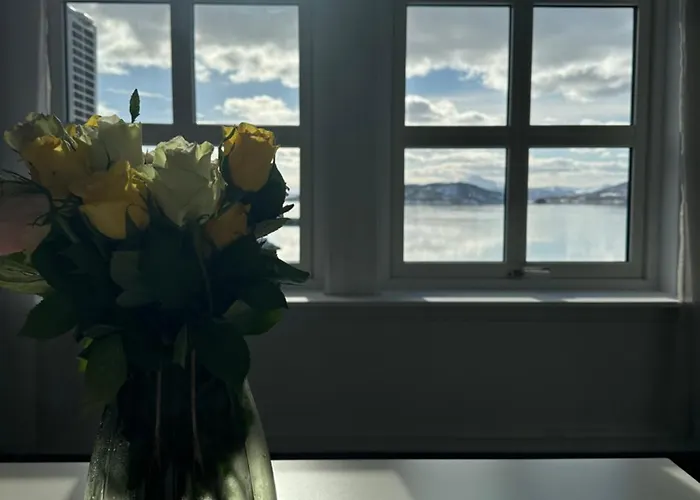 House By The Fjord And Mountains *